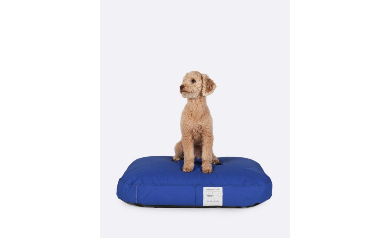 The Doge Bed popular - Free Shipping (US)